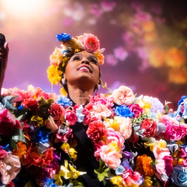 janelle monae fox theater 2023 terence rushing